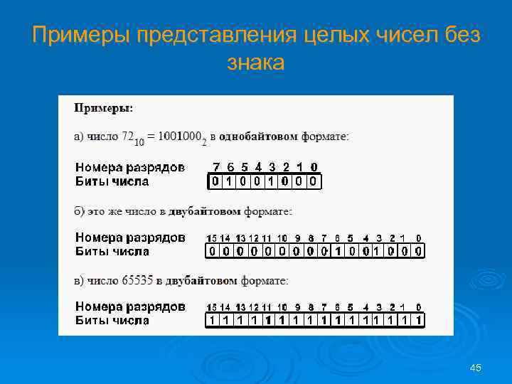 Примеры представления целых чисел без знака 45 