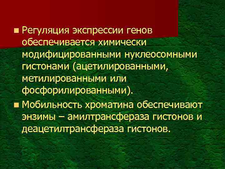 n Регуляция экспрессии генов обеспечивается химически модифицированными нуклеосомными гистонами (ацетилированными, метилированными или фосфорилированными). n
