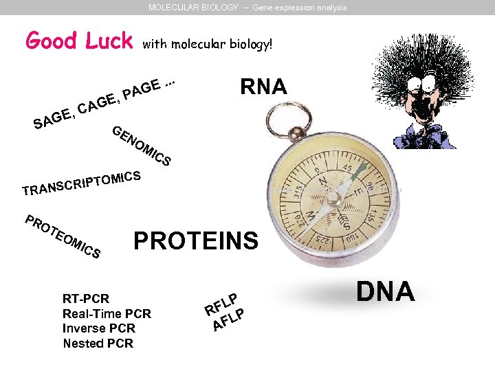 MOLECULAR BIOLOGY – Gene expression analysis Good Luck E. . . AG P GE,