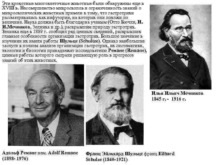 Эти крохотные многоклеточные животные были обнаружены еще в XVIII в. Несовершенство микроскопов и ограниченность