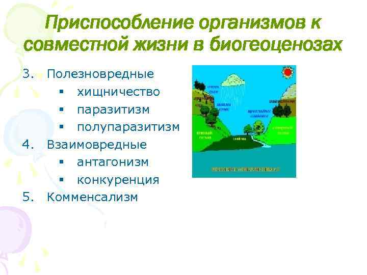 Приспособление организмов к совместной жизни в биогеоценозах 3. Полезновредные § хищничество § паразитизм §