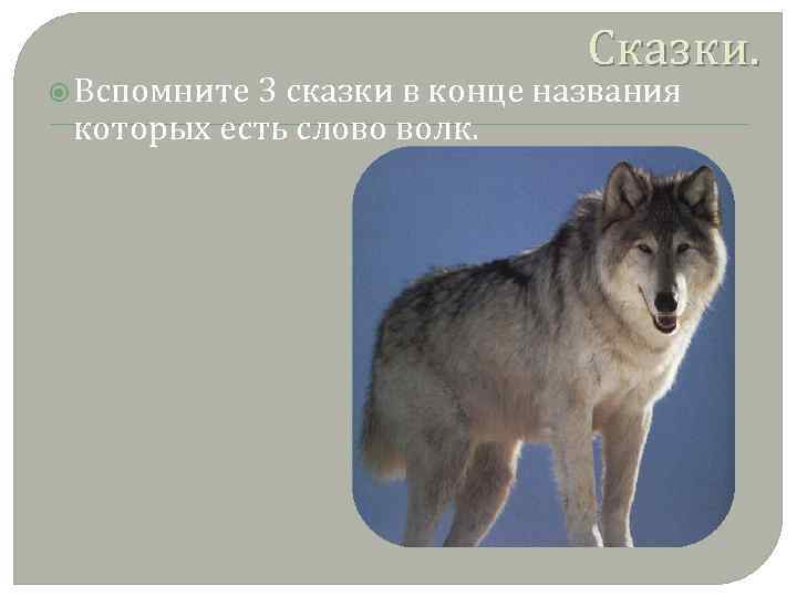 Волк какое слово. Обозначение слова волк. Происхождение слова волк. Волк слово волк. Волк ассоциации к слову.