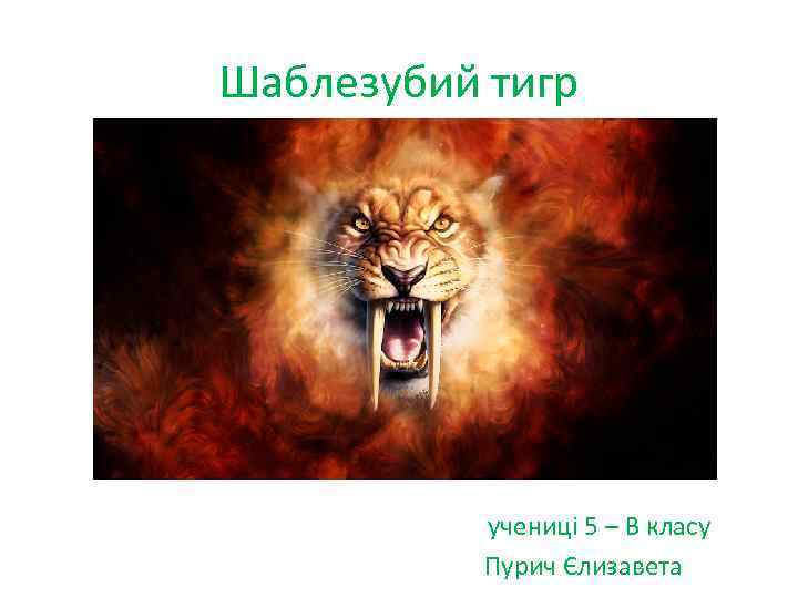 Шаблезубий тигр учениці 5 – В класу Пурич Єлизавета 