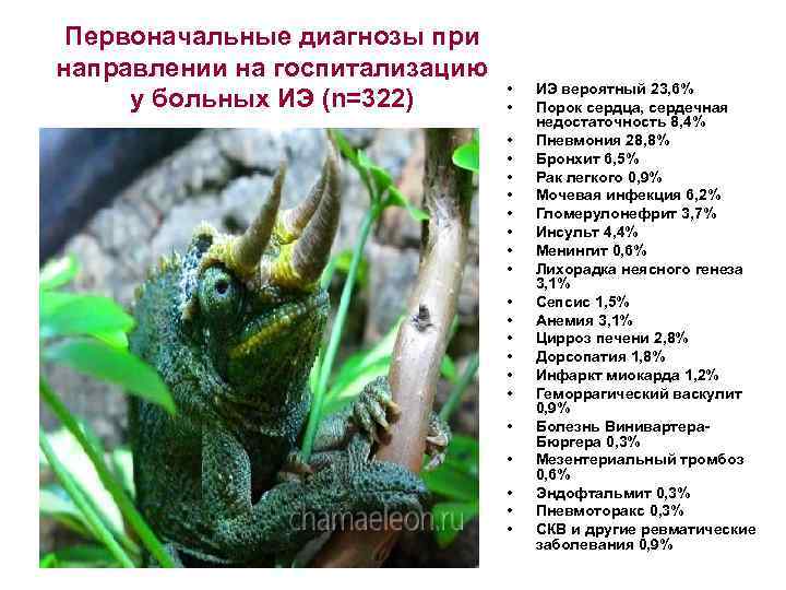 Первоначальные диагнозы при направлении на госпитализацию у больных ИЭ (n=322) • • • •