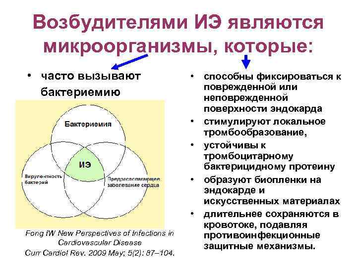 Возбудителями ИЭ являются микроорганизмы, которые: • часто вызывают бактериемию Fong IW New Perspectives of