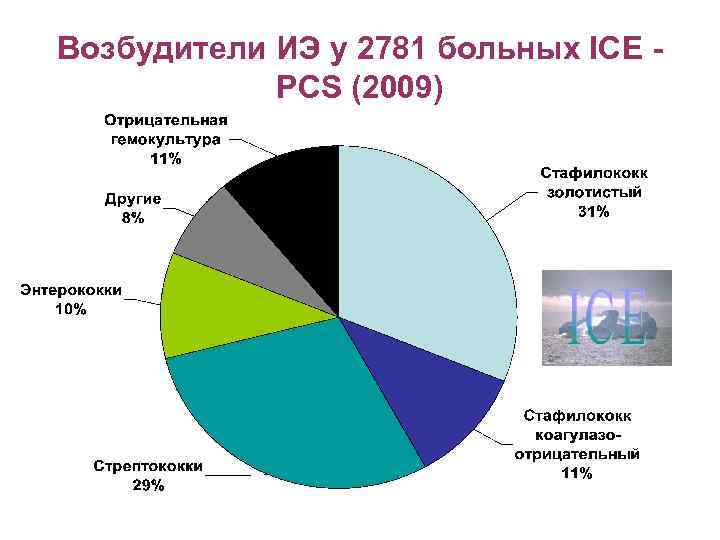 Возбудители ИЭ у 2781 больных ICE PCS (2009) 