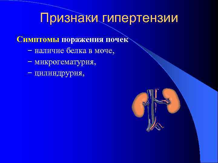 Признаки гипертензии Симптомы поражения почек − наличие белка в моче, − микрогематурия, − цилиндрурия,