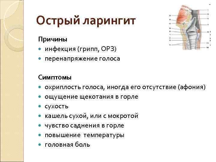 Острый ларингит Причины инфекция (грипп, ОРЗ) перенапряжение голоса Симптомы охриплость голоса, иногда его отсутствие