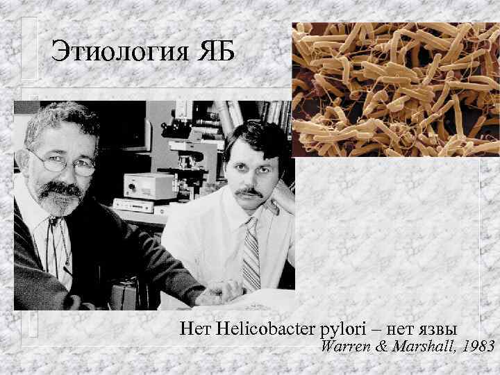 Этиология ЯБ Нет Helicobacter pylori – нет язвы Warren & Marshall, 1983 