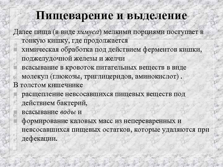 Пищеварение и выделение Далее пища (в виде химуса) мелкими порциями поступает в тонкую кишку,