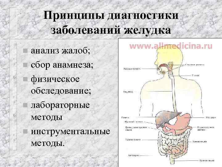 Принципы диагностики заболеваний желудка анализ жалоб; n сбор анамнеза; n физическое обследование; n лабораторные