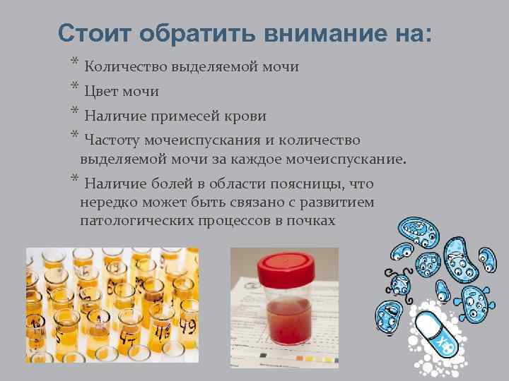 Стоит обратить внимание на: * Количество выделяемой мочи * Цвет мочи * Наличие примесей
