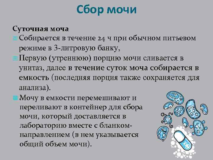 Сбор мочи Суточная моча - Собирается в течение 24 ч при обычном питьевом режиме