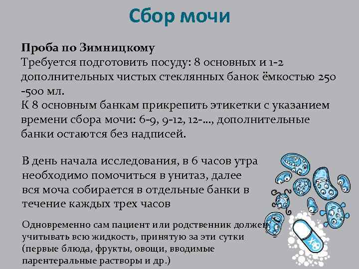 Сбор мочи Проба по Зимницкому Требуется подготовить посуду: 8 основных и 1 -2 дополнительных