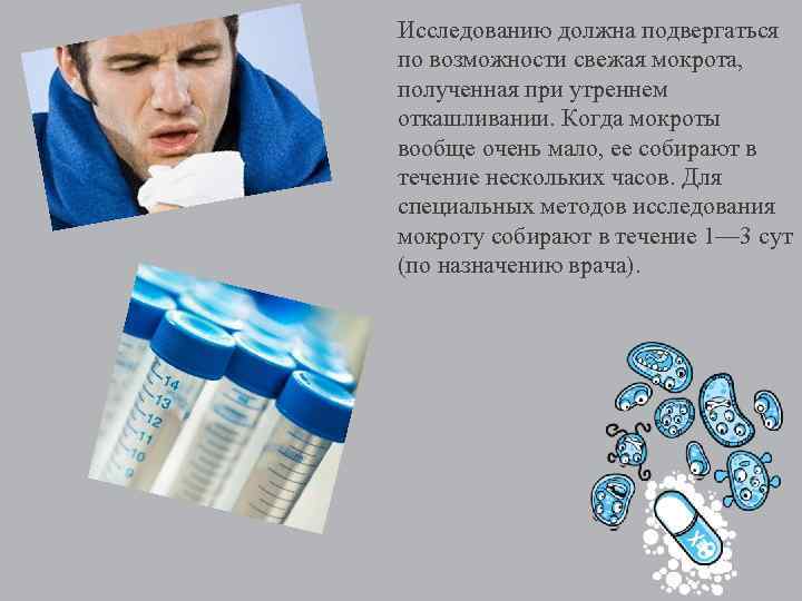 Исследованию должна подвергаться по возможности свежая мокрота, полученная при утреннем откашливании. Когда мокроты вообще
