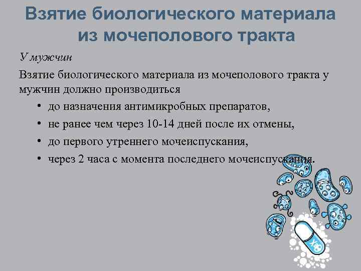 Взятие биологического материала из мочеполового тракта У мужчин Взятие биологического материала из мочеполового тракта