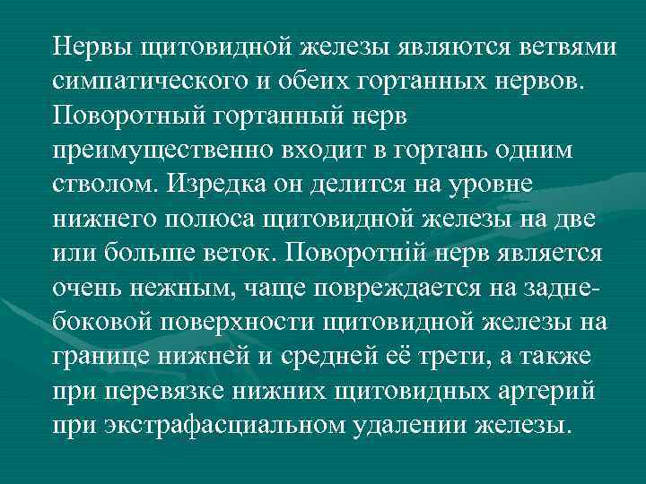 Нервы щитовидной железы являются ветвями симпатического и обеих гортанных нервов. Поворотный гортанный нерв преимущественно