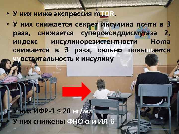  • У них ниже экспрессия m. TOR. • У них снижается секрет инсулина