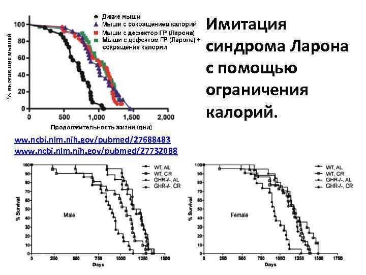 Имитация синдрома Ларона с помощью ограничения калорий. ww. ncbi. nlm. nih. gov/pubmed/27688483 www. ncbi.