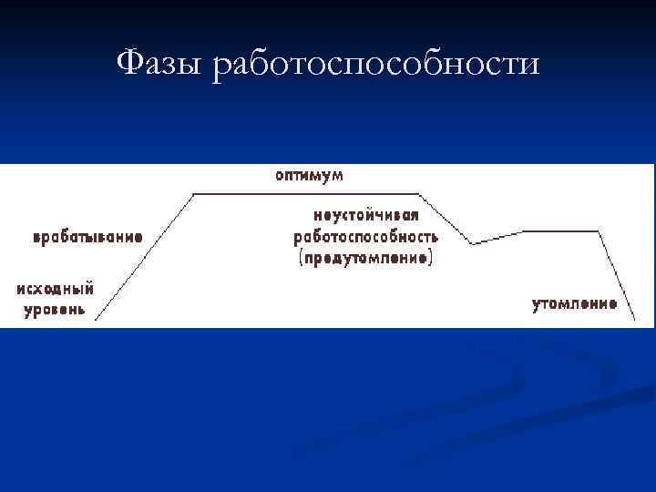 Фазы работоспособности 