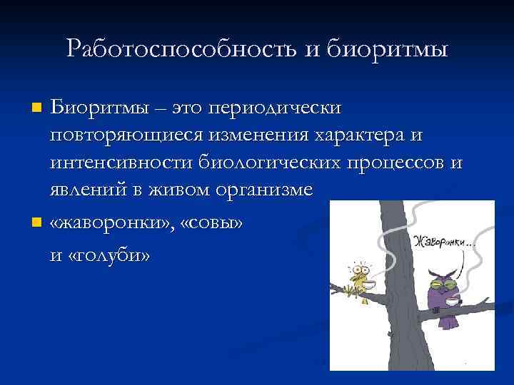 Работоспособность и биоритмы Биоритмы – это периодически повторяющиеся изменения характера и интенсивности биологических процессов