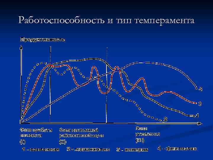 Работоспособность и тип темперамента 