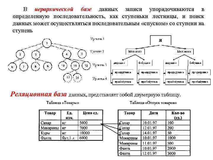 В иерархической базе данных записи упорядочиваются в определенную последовательность, как ступеньки лестницы, и поиск