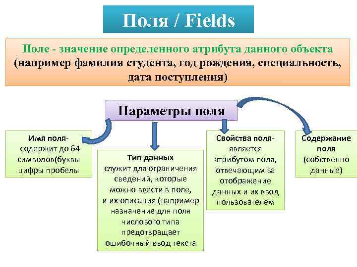 Поля / Fields Поле - значение определенного атрибута данного объекта (например фамилия студента, год