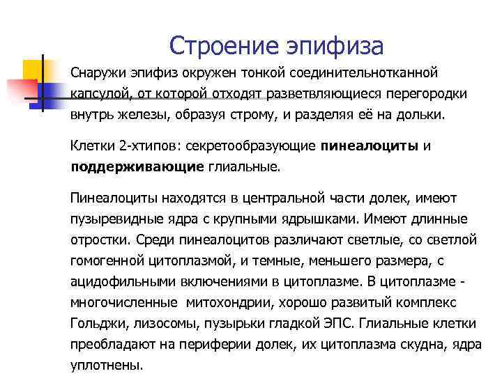 Строение эпифиза Снаружи эпифиз окружен тонкой соединительнотканной капсулой, от которой отходят разветвляющиеся перегородки внутрь