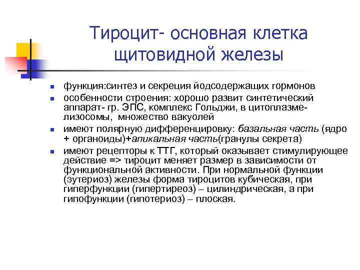 Тироцит- основная клетка щитовидной железы n n функция: синтез и секреция йодсодержащих гормонов особенности