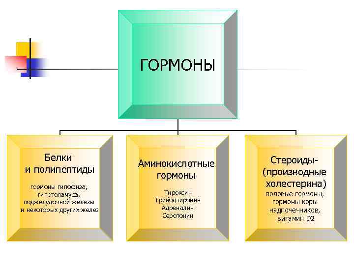 ГОРМОНЫ Белки и полипептиды гормоны гипофиза, гипотоламуса, поджелудочной железы и некоторых других желез Аминокислотные