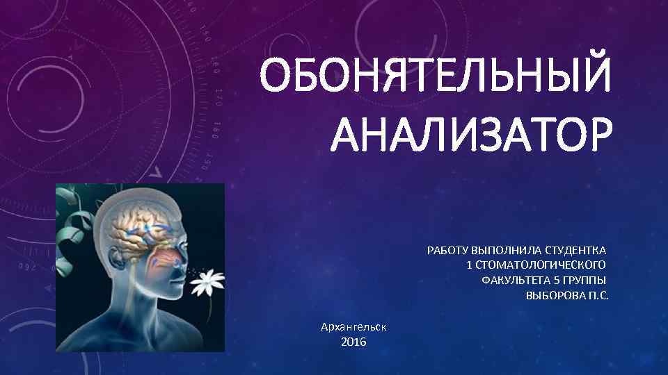 ОБОНЯТЕЛЬНЫЙ АНАЛИЗАТОР РАБОТУ ВЫПОЛНИЛА СТУДЕНТКА 1 СТОМАТОЛОГИЧЕСКОГО ФАКУЛЬТЕТА 5 ГРУППЫ ВЫБОРОВА П. С. Архангельск