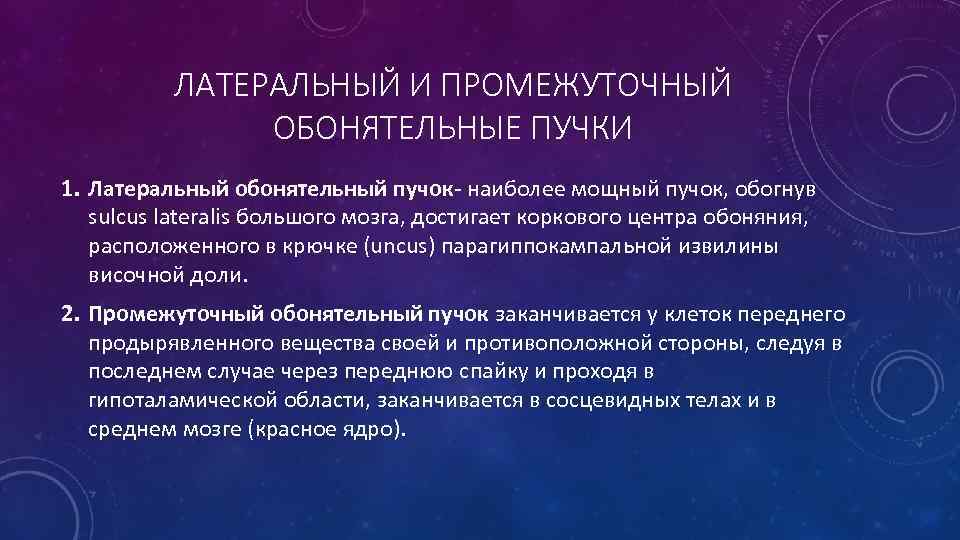 ЛАТЕРАЛЬНЫЙ И ПРОМЕЖУТОЧНЫЙ ОБОНЯТЕЛЬНЫЕ ПУЧКИ 1. Латеральный обонятельный пучок наиболее мощный пучок, обогнув sulcus