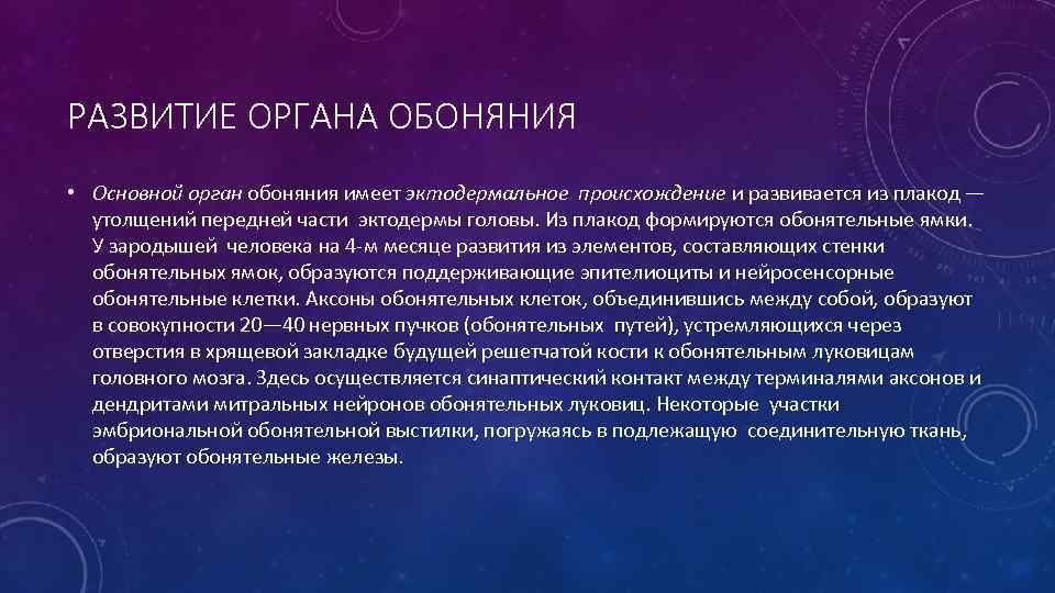 РАЗВИТИЕ ОРГАНА ОБОНЯНИЯ • Основной орган обоняния имеет эктодермальное происхождение и развивается из плакод