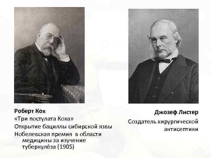 Роберт Кох «Три постулата Коха» Открытие бациллы сибирской язвы Нобелевская премия в области медицины