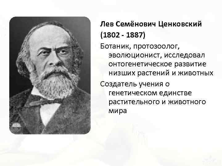 Лев Семёнович Ценковский (1802 - 1887) Ботаник, протозоолог, эволюционист, исследовал онтогенетическое развитие низших растений