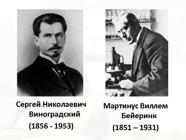 Сергей Николаевич Виноградский (1856 - 1953) Мартинус Виллем Бейеринк (1851 – 1931) 