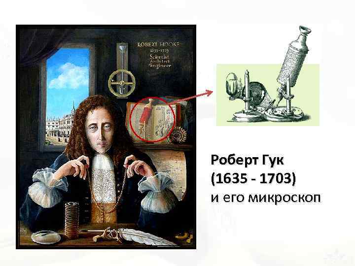 Роберт Гук (1635 - 1703) и его микроскоп 