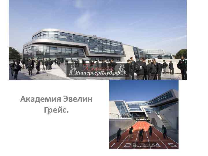 Академия Эвелин Грейс. 