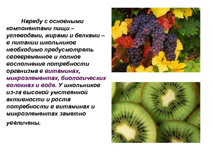 Наряду с основными компонентами пищи – углеводами, жирами и белками – в питании школьников