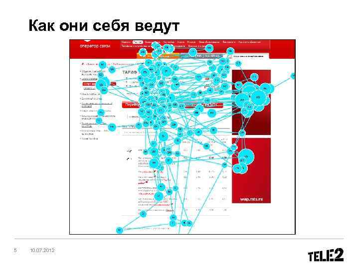 Как они себя ведут 5 10. 07. 2012 