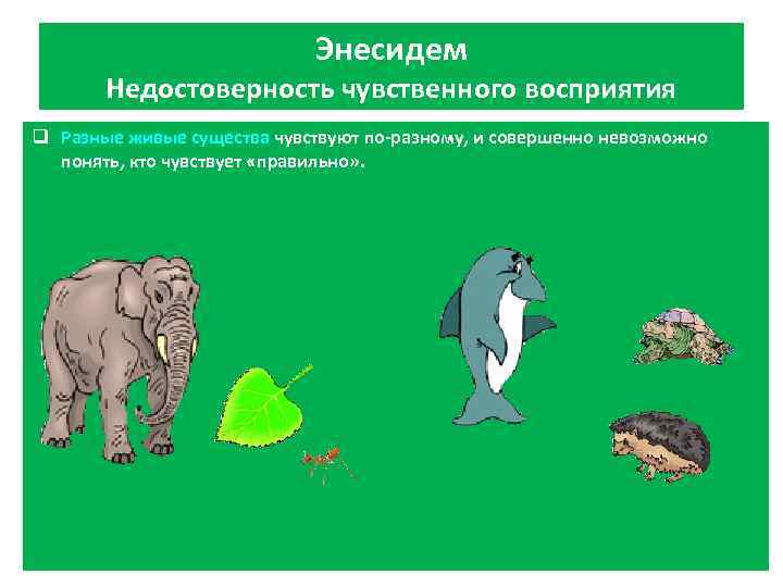 Энесидем Недостоверность чувственного восприятия q Разные живые существа чувствуют по-разному, и совершенно невозможно понять,