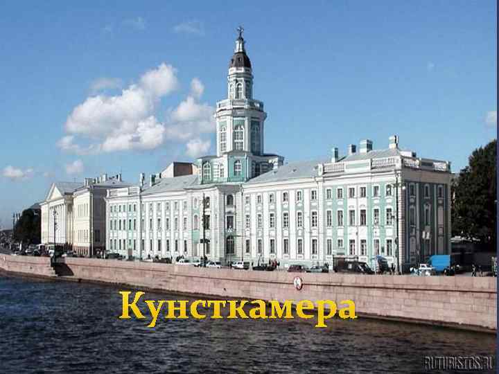 Кунсткамера 