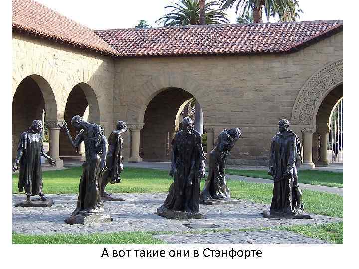 А вот такие они в Стэнфорте 