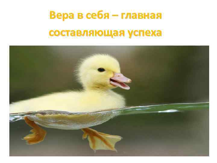 Вера в себя – главная составляющая успеха 