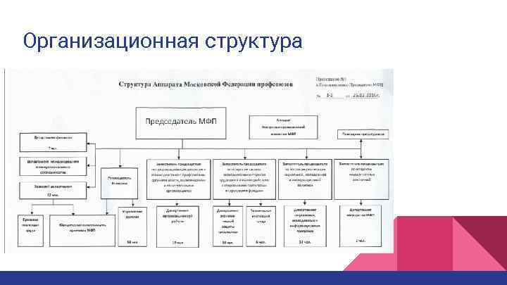 Организационная структура 