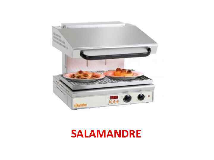 SALAMANDRE 