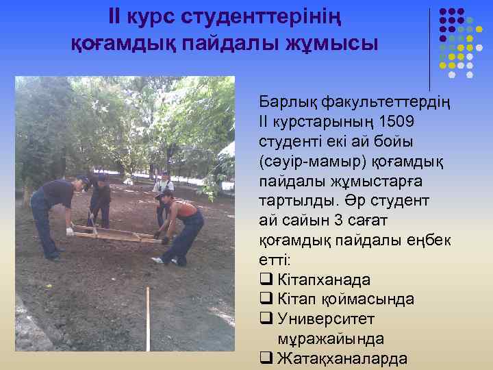 II курс студенттерінің қоғамдық пайдалы жұмысы Барлық факультеттердің II курстарының 1509 студенті екі ай