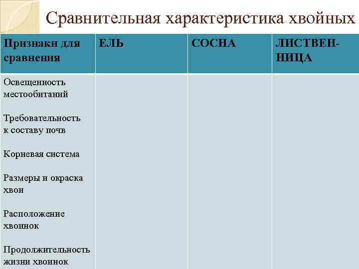 Сравнительная характеристика хвойных Признаки для сравнения Освещенность местообитаний Требовательность к составу почв Корневая система