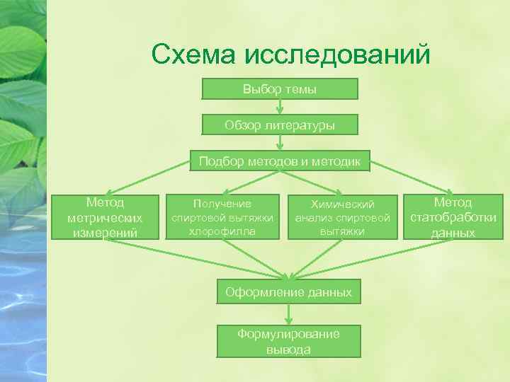 Схема исследований Выбор темы Обзор литературы Подбор методов и методик Метод метрических измерений Получение